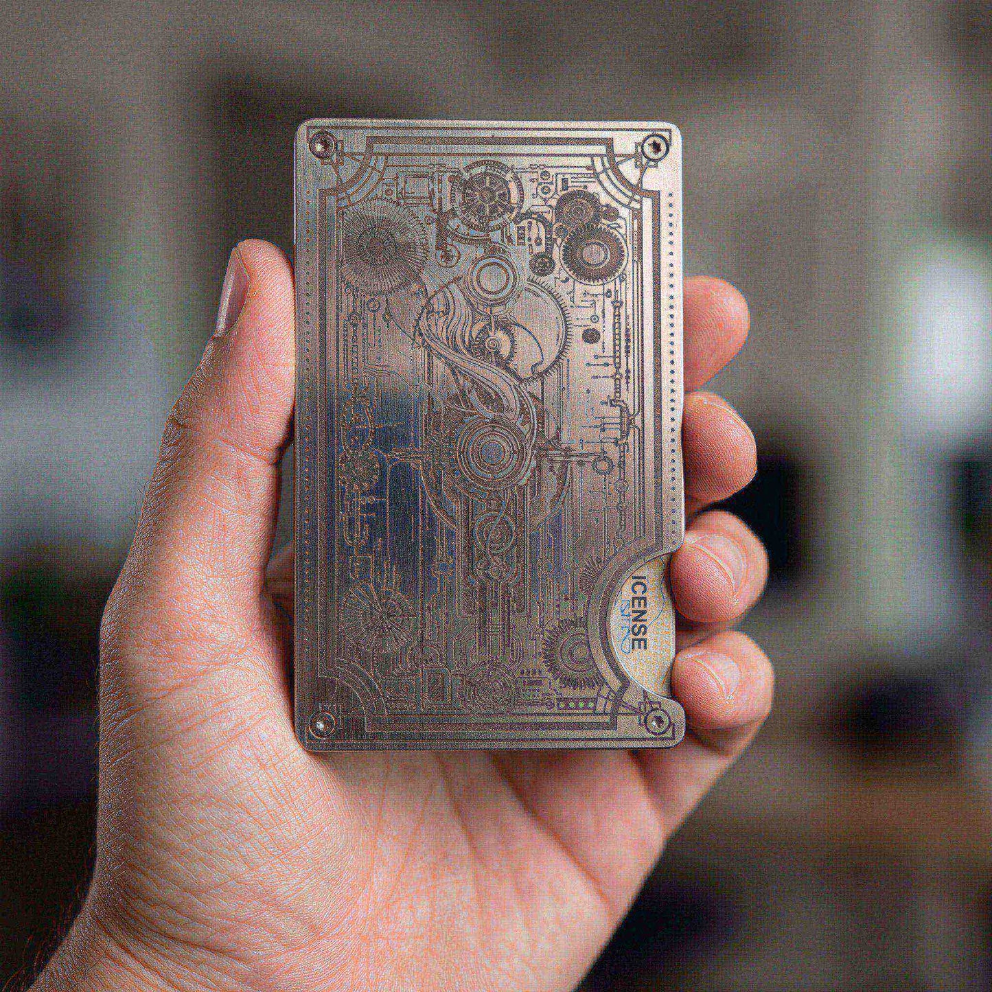 Moxxley Creditcardholder MX-317