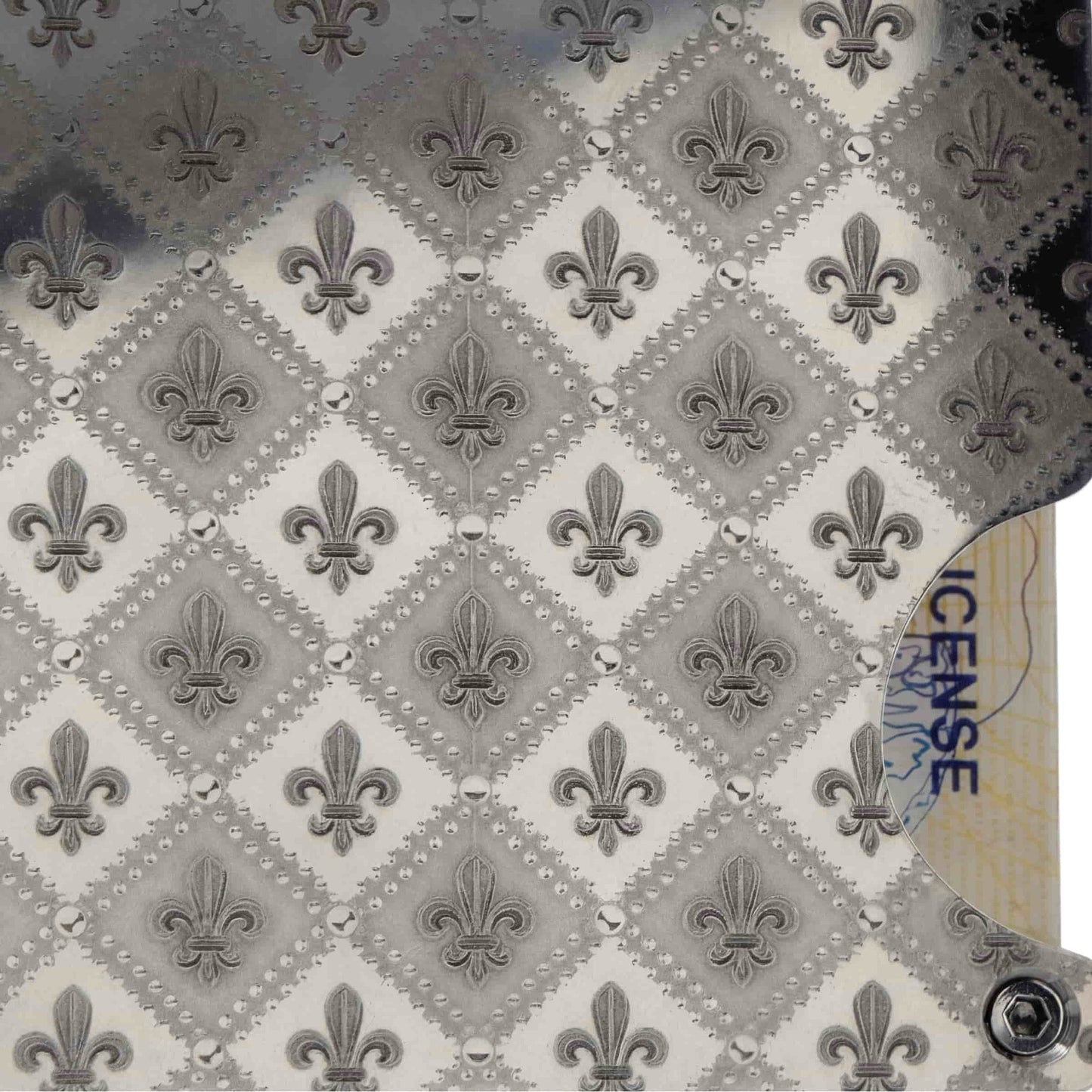Moxxley Creditcardholder MX-200